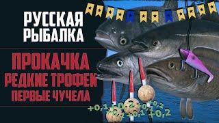 Новый Путь в РР4 #17  Первые Редкие Чучела | Трофейные Синяки | Фарм Серебра | Прокачка Поплавка