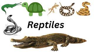 Reptiles