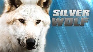 Silver Wolf (ABENTEUER I ganze Spielfilme auf Deutsch, abenteuerliche Familienfilme anschauen)