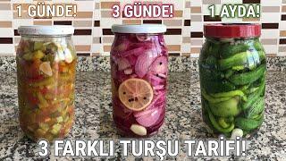 3 FARKLI TURŞU TARİFİ1 GÜNDE YAĞLI TURŞU 3 GÜNDE MOR SOĞAN TURŞU 1 AYDA SALATALIK TURŞU #turşu