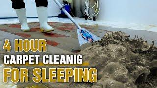 ASMR Carpet Cleaning for Deep Sleep - Say Goodbye To Sleepless Nights - Deep Sleep