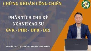 PHÂN TÍCH CHU KỲ NGÀNH CAO SU - GVR - PHR - DPR  - DRI