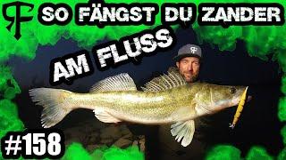 (Livebisse) ZANDER auf ZANDER | Mit dem Zander Wobbler richtig auf Zander angeln!