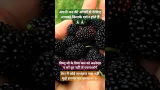 विष्णु जी के प्रिया फल को अनदेखा देखा ना करें #vishnu #vishnumantra #vishnupurana