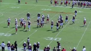 Highlights Tusculum Football vs Newberry (Sept  21, 2024)