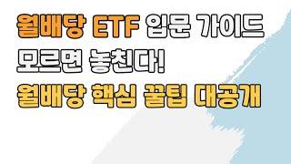 ETF 월배당 입문 가이드! 초보라면 꼭 알아야 할 꿀팁 전부 알려드립니다