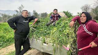 العمل الشاق رغم الصيام  برياني الدجاج فطور رمضاني طعم ولا أطيب ️