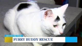 Furry Buddy Rescue is aiming to win $10,000