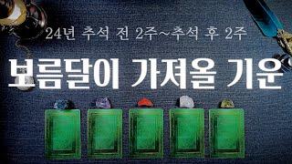 [타로] 보름달이 가져올 기운│추석전후 2주씩 총 4주