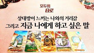 [타로] 상대방이 지금 하고 싶은 말 & 나와 느끼는 거리감!