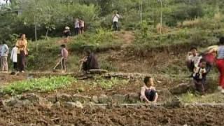 Rural Chinese Farmers