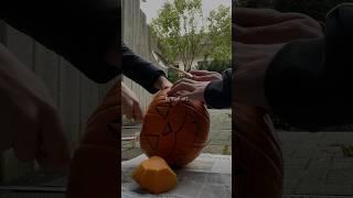 spooky season #halloween #pumpkin #pumpkincarving #pumpkincats #spookyseason #spooky