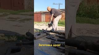 Заготовка дров!