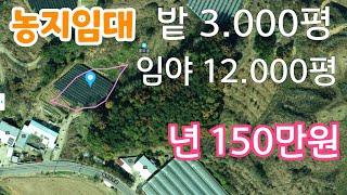 농지 임대 년 150만원!  충북 옥천  밭3.000평 임야12.000평