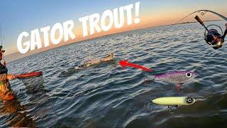 Wade Fishing for GIANT Speckled Trout! Topwater & Corky!