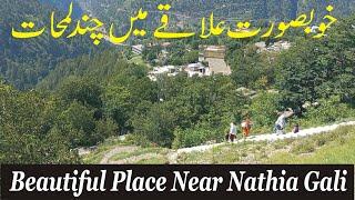 Exploring Murree Galiyat | A Beautiful View Near Nathia Gali | Murree Latest Update