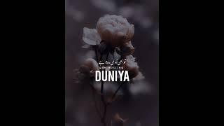 Duniya bhi ajeeb hai bayan whatsapp status||maulana tariq jameel bayan status||#shorts