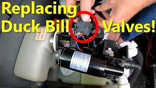 Replacing Duckbill Valves + Vacuflush System Overview, Sea Ray Boat