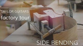 Taylor Guitars Factory Tour  •  Side Bending