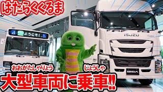 でかすぎる！いろんなものを運ぶおおきなトラックに乗ってみたよ！【はたらくくるま（働く車）】【トラック】【大型バス】【いすゞ自動車】