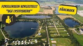 Forellenseen vorgestellt: Uge Lystfiskerie, Dänemark