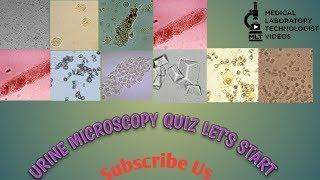 Urine Microscopy quiz,lab quiz, lets start :)