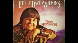 "LITTLE" DAVID WILKINS - BUTTER BEANS (1974)