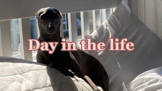 Day In The Life | w Asay Everything