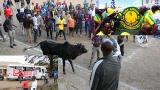 SIMBA na YANGA ARUSHA kushindania NG'OMBE  katika Mashindano ya  ARUSHA SUPER CUP