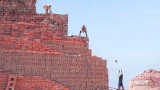 Primitive Way They Produce Million of Clay Bricks