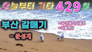 [오늘부터 기타] 429. 부산 갈매기 - 문성재