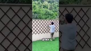 Вертикальная клумба на забор