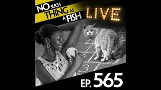 565: No Such Thing As Tickling A Monk