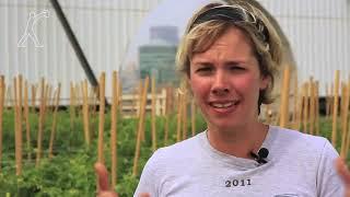 The World's Second Biggest Rooftop Farm