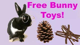 DIY FREE rabbit chew toys!