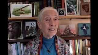 2020 Austrian World Summit: Dr. Jane Goodall