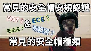 【循環機】常見的安全帽種類 & 安規認證 ║ 帽帽系列#01