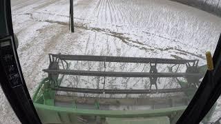 helping out the neighbor by combining beans in snow covered ground