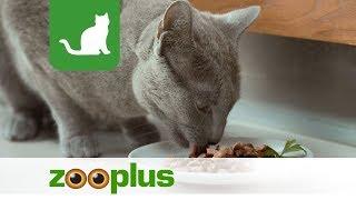 Wet Cat Food | Sheba | zooplus.co.uk