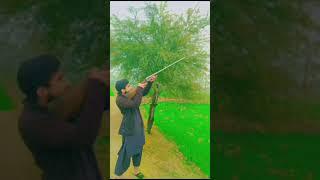 pakistani hunter   dgk