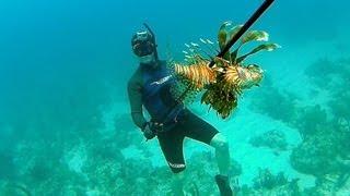 Spearfishing Poisonous Lionfish - Bahamas Part 1 (Ted's HoldOver)