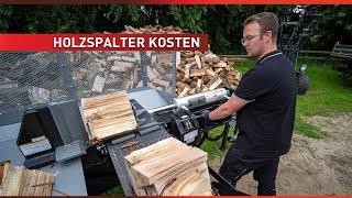 Was kostet ein Holzspalter? 🪓