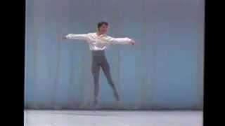 Friedemann Vogel- Tchaikovski Pas de deux