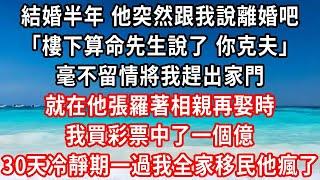 結婚半年 他突然跟我說離婚吧，樓下算命先生說了 你克夫，毫不留情將我趕出家門，就在他張羅著相親再娶時，我買彩票中了一個億，30天冷靜期一過我全家移民他瘋了#家庭伦理#小說