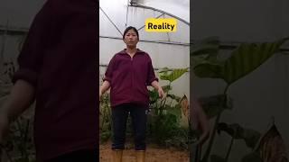###activity walk at home