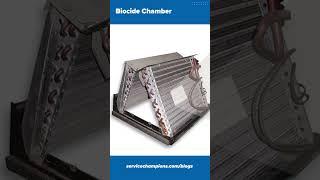 Biocide Chamber and what it does