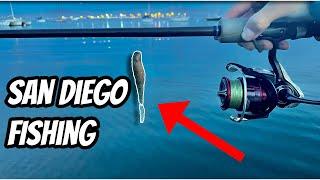 Fiddlers Cove Fishing | San Diego Bay