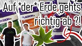 Perfekt GROWEN mit dem richtigen Substrat | Plagron | Individuell | Growberg