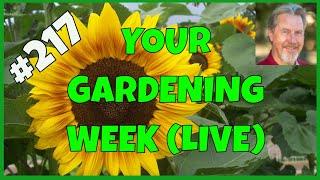 Your Top Gardening Questions (Q&A)