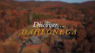 Discover the Heart of the Georgia Mountains